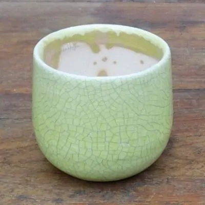 Vaso smaltato per cactus...