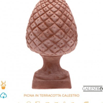 PIGNA IN TERRACOTTA...