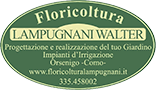 Floricoltura Lampugnani Walter Orsenigo como - Hosta - Pelargonium - Giardini