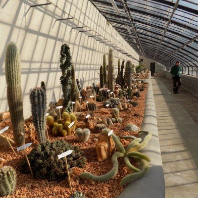 Villa Litta Lainate Collezione Cactus
