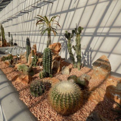 Villa Litta Lainate Collezione Cactus
